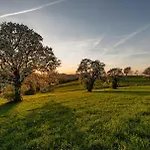 Pensjonat Landgasthof Zur Linde 3*
