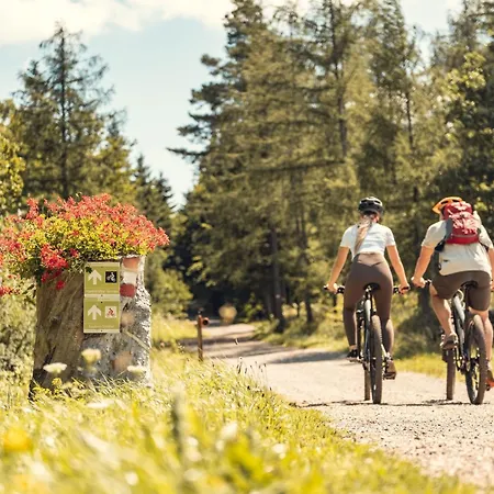 Casa de hóspedes Landgasthof Zur Linde Laaben