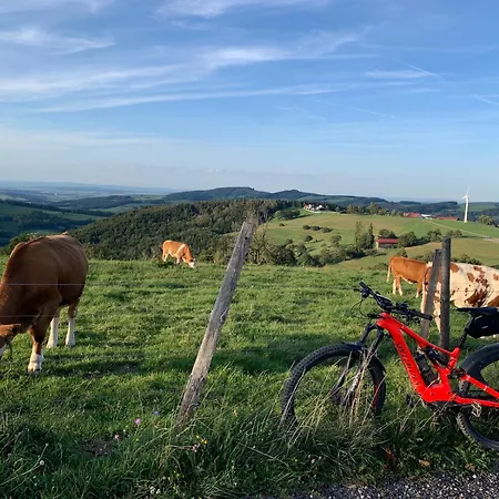 Landgasthof Zur Linde Guest house 3*