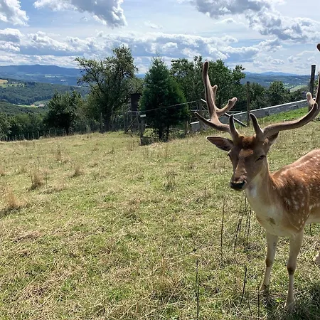 Landgasthof Zur Linde 3* Laaben