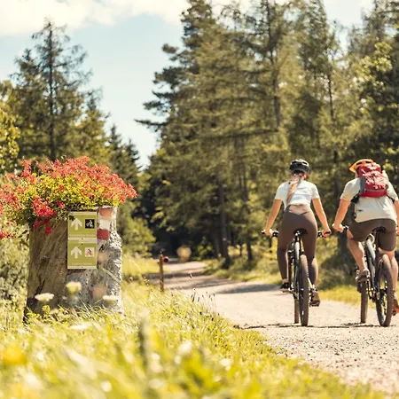 Landgasthof Zur Linde Pensjonat 3*