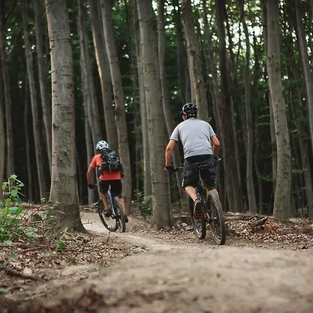 Casa de hóspedes Landgasthof Zur Linde 3*