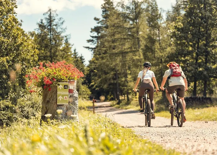 Guest house Landgasthof Zur Linde Laaben