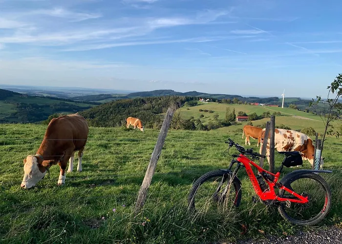 Landgasthof Zur Linde Guest house 3*