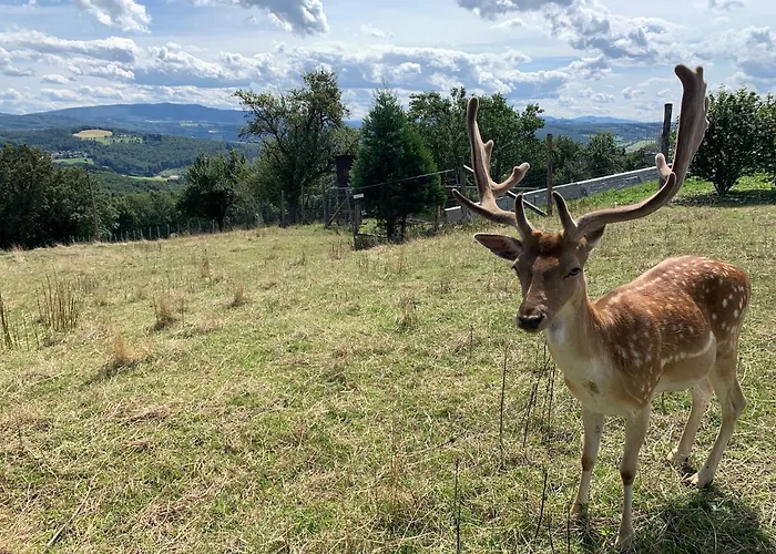Landgasthof Zur Linde 3* Laaben
