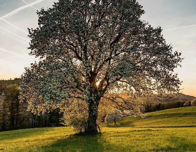 Landgasthof Zur Linde Laaben